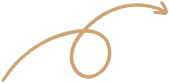seta